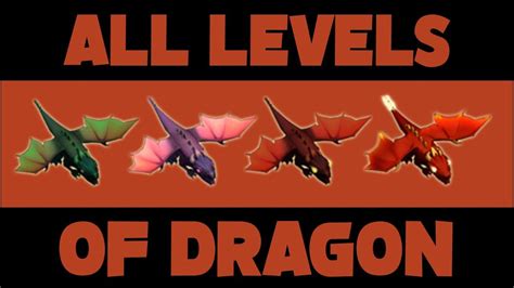 levels of dragons